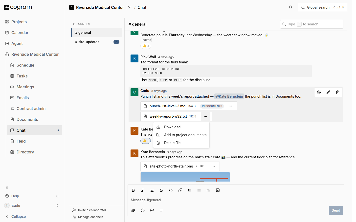 A chat message with two attached files. The actions menu of one file is open, showing Download, Add to project documents, and Delete file; the other file carries the In documents badge.